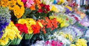 سقوط تقاضا برای خرید گل در بازار