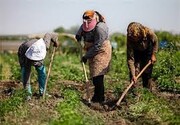 روستاهای خراسان‌شمالی؛ حکایت سرزمین‌هایی تولیدکننده که «آب و نان» ندارند