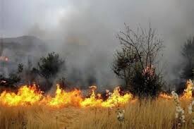 آتش سوزی در پارک جزیره شوشتر