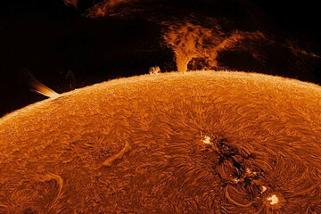 عکس | ثبت تصاویری زیبا از خورشید توسط استاد بازنشسته از باغ خانه‌اش