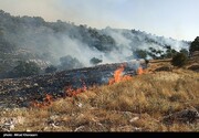عاملان آتش‌سوزی کوه خائیز دستگیر شدند/ ۴۰ هکتار جنگل و مرتع در آتش سوخت