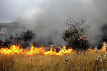 ‌آتش‌سوزی با منشاء انسانی در مراتع شیروان