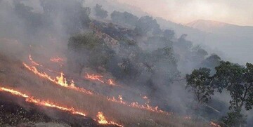 پیامدهای ترسناک آتش‌سوزی جنگل‌ها/ زاگرس دیگر احیا نمی‌شود؟