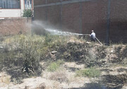 آتش گرفتن پوشش گیاهی زمین خالی در مهاباد
