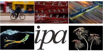 برندگان مسابقه عکاسی IPA معرفی شدند