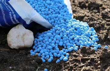 آغاز توزیع گسترده کود در مازندران