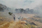 آتش سوزی در مراتع اراک نسبت به سال گذشته دوبرابر افزایش یافته است