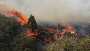 آتش کوه «دراک» و «تنگ سرخ» در شیراز مهار شد