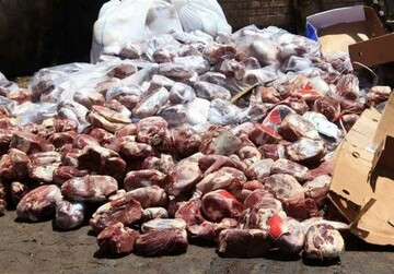 معدوم سازی بیش از ۶ هزار کیلوگرم انواع فرآورده های خام دامی غیرقابل مصرف در بروجن 