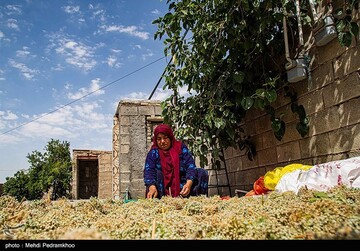 بی آبی در سرزمین رودهای روان