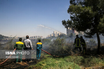 چهار مورد از آتش‌سوزی‌ها در تهران عمدی بود