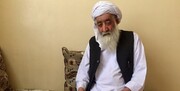 مولانا شفیقی هروی شاعر و ادیب افغانستانی درگذشت