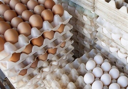 قیمت هر شانه تخم مرغ به مرز ۳۰ هزار تومان رسید