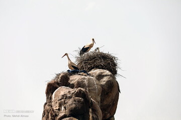 تپه های رنگی ماهنشان