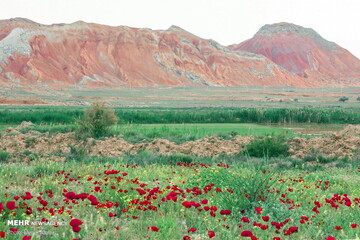 تپه های رنگی ماهنشان