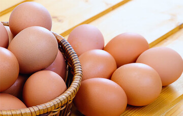 عوارض صادراتی تخم مرغ ٤٠٠ تومان در هر کیلوگرم تعیین شد
