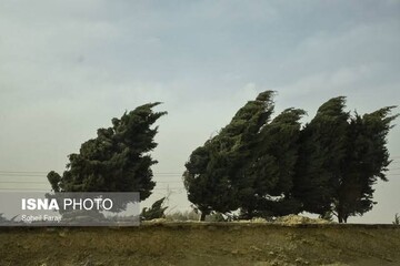 هشدار سازمان هواشناسی نسبت به رگبار و وزش باد نسبتا شدید در این ۱۳ استان