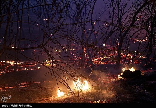 آتش زدن مزارع بعد از برداشت محصول - خوزستان