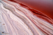 ببینید | تصاویری دیدنی از دریاچه نمک قم که این روزها قرمز شده