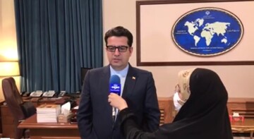 واکنش سخنگوی وزارت خارجه به مرگ قاضی منصوری و قطعنامه شورای حکام علیه ایران