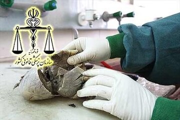 راه‌اندازی آزمایشگاه سم‌شناسی پزشکی قانونی همدان به صورت ویدئو کنفرانس توسط رئیس قوه قضائیه 