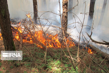 سازمان محیط‌زیست: ممکن است دوباره آتش‌سوزی داشته باشیم