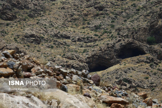 بی‌مهری به طاق بستان