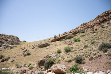 ورزش هایلاین