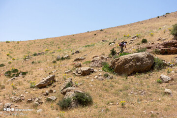 ورزش هایلاین