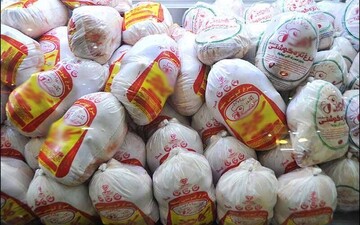 کمبود مرغ در ارومیه/ توزیع مرغ منجمد با قیمت مصوب آغاز شد