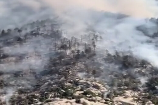 ببینید | تصاویر هوایی از آتش سوزی در اراضی جنگلی توسان در ایالت آریزونا آمریکا