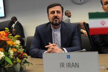 Iranian envoy slams US unilateral sanctions on Iran amid COVID-19 pandemic