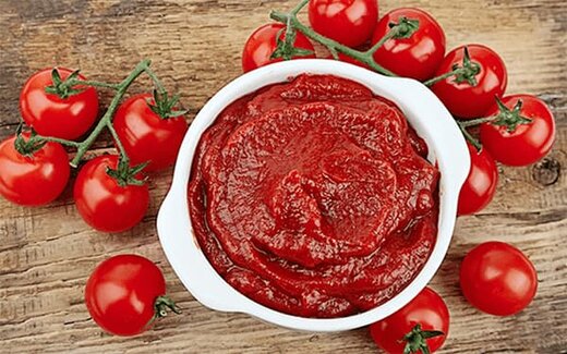رب گوجه فرنگی ۱۰۰ درصد گران شد/ صادرات فله‌ای گوجه به کشورهای حاشیه خلیج‌فارس