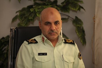استرداد یک مفسد اقتصادی به کشور