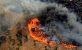 جزئیات آتش‌سوزی جنگل‌های پاوه