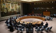 UN Security Council rejects US draft resolution to extend arms embargo on Iran