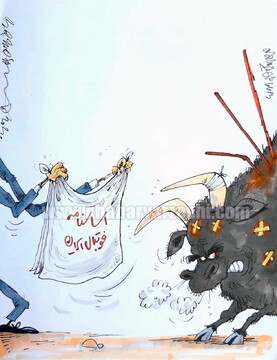 AFC بی‌خیال فوتبال ما نمی‌شود!