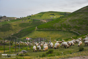 ییلاقات گیلان