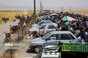 تصاویر | وضعیت قرمز در بازار پرندگان مشهد