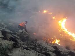 حضور داوطلبانه گروه‌های جهادی در مهار آتش‌سوزی در منابع طبیعی