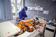 استاندار گلستان: نیمی از بیماران کرونایی استان در گنبدکاووس بستری هستند
