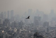 منشایابی بوی نامطبوع در تهران با سناریوهای جدید/ نقش پررنگ وارونگی دما در انتشار بو