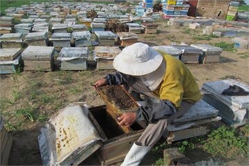 ۶ میلیارد تومان تسهیلات اشتغال به مددجویان چهارمحال و بختیاری پرداخت شد