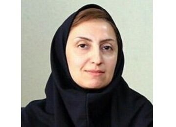 اعمال سلیقه مدیران، در غیبت قانون