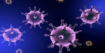 افزایش آمار مبتلایان به ویروس کرونا در کهگیلویه و بویراحمد