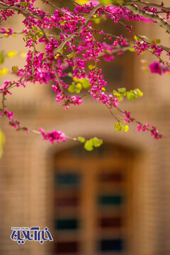 زیباترین خانه‌ی تهران