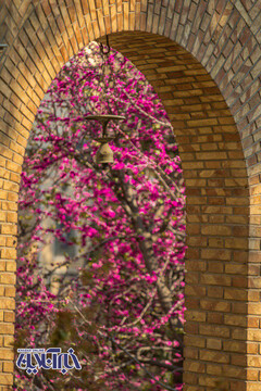 زیباترین خانه‌ی تهران