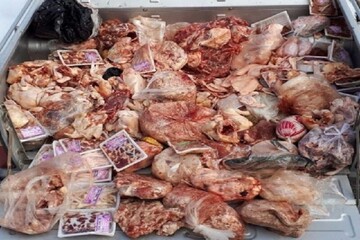  ۱۵۰ کیلوگرم انواع گوشت فاسد در همدان کشف شد