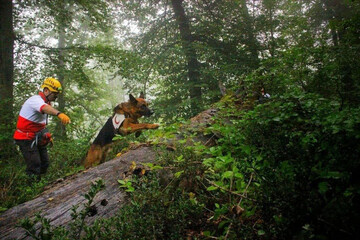 ببینید | جست‌وجوی تیم هلال احمر گلستان برای پیدا کردن دختر 27 ساله گمشده در منطقه جهان نما
