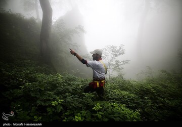عملیات جستجو برای یافتن دختر گمشده